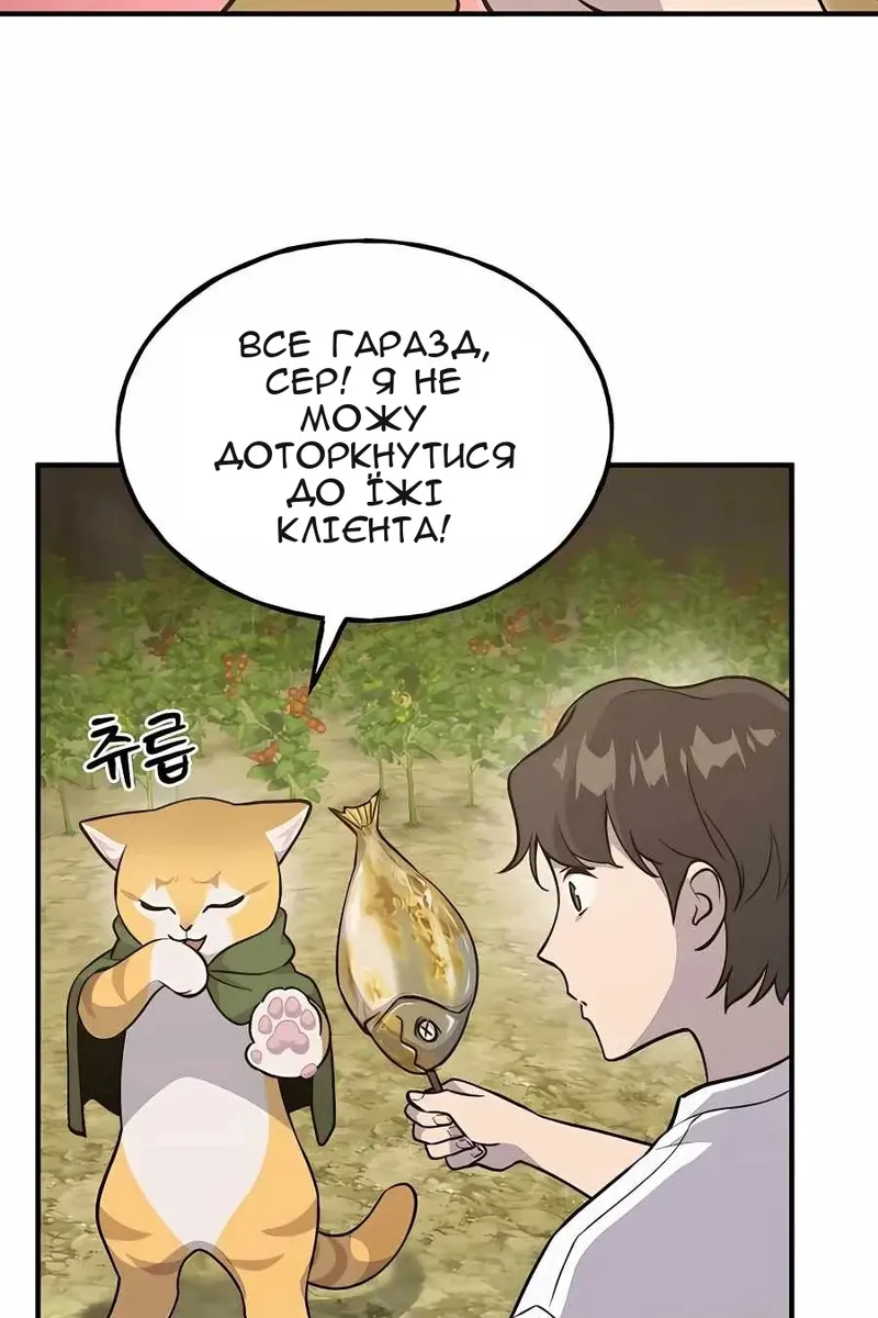 Сторінка 27