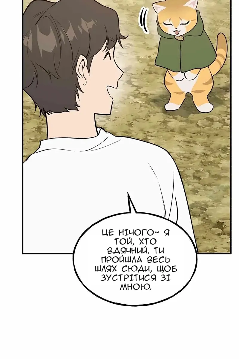 Сторінка 37