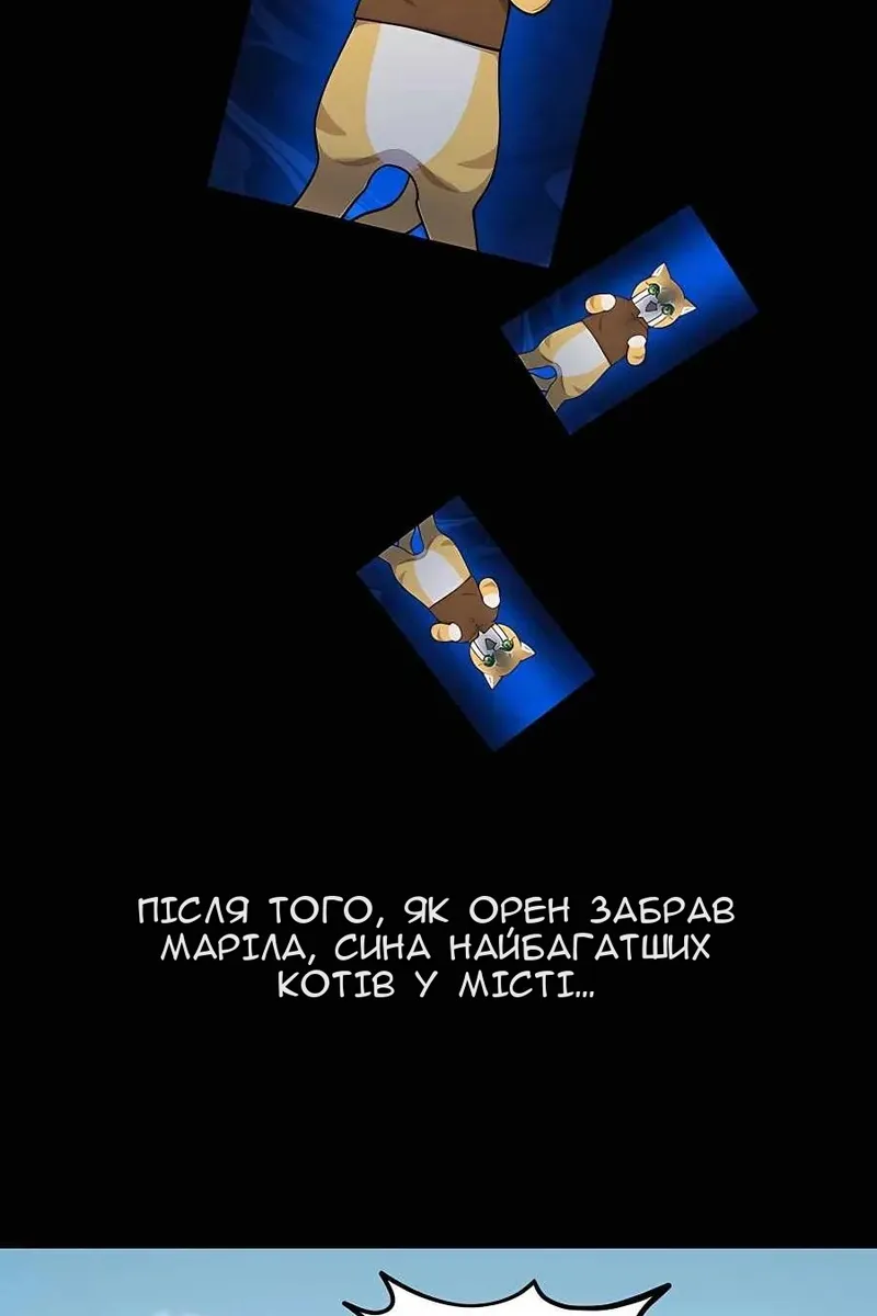 Сторінка 114