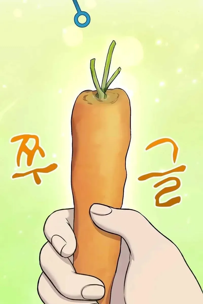 Сторінка 27