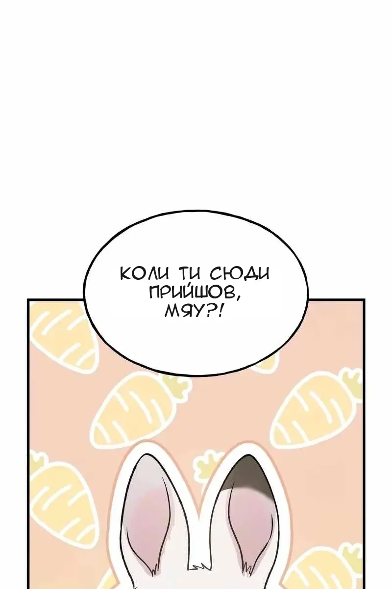 Сторінка 126