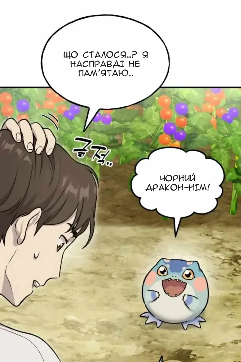 Сторінка 88