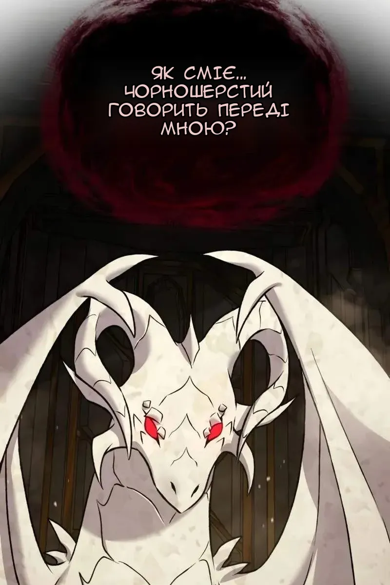 Сторінка 41