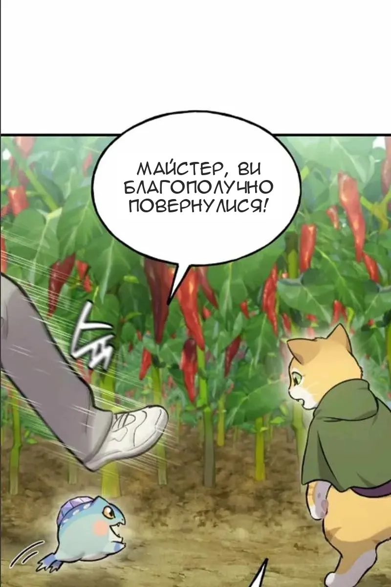 Сторінка 43
