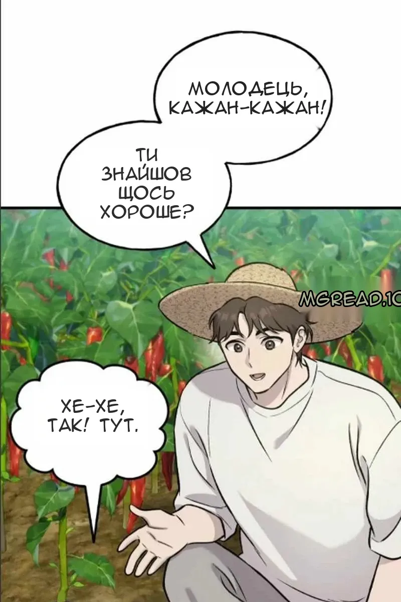 Сторінка 82