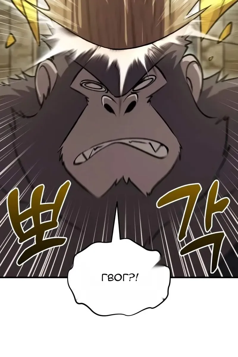 Сторінка 72