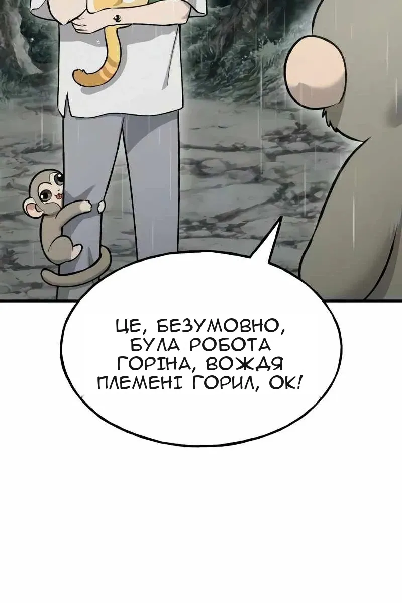 Сторінка 13
