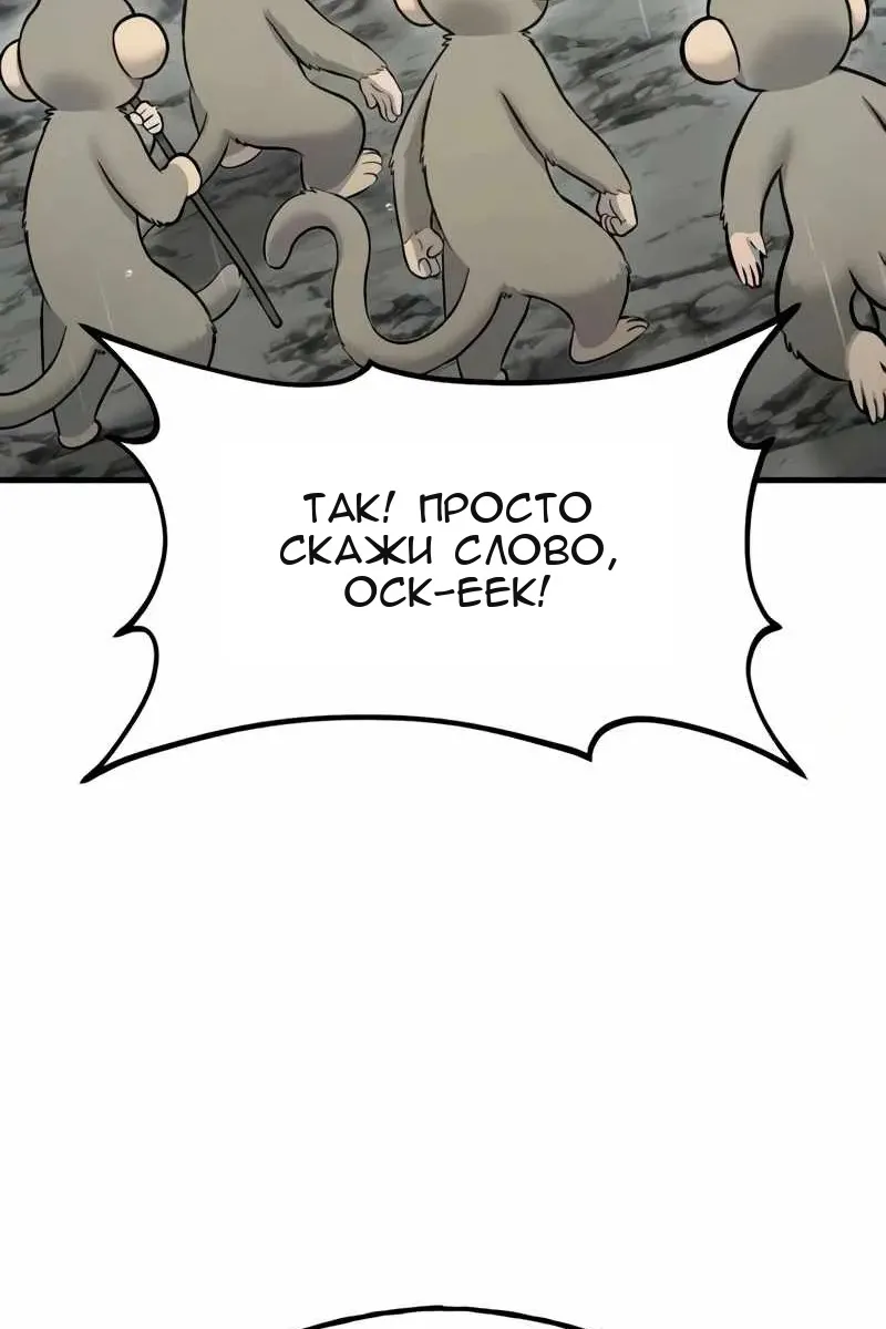 Сторінка 17