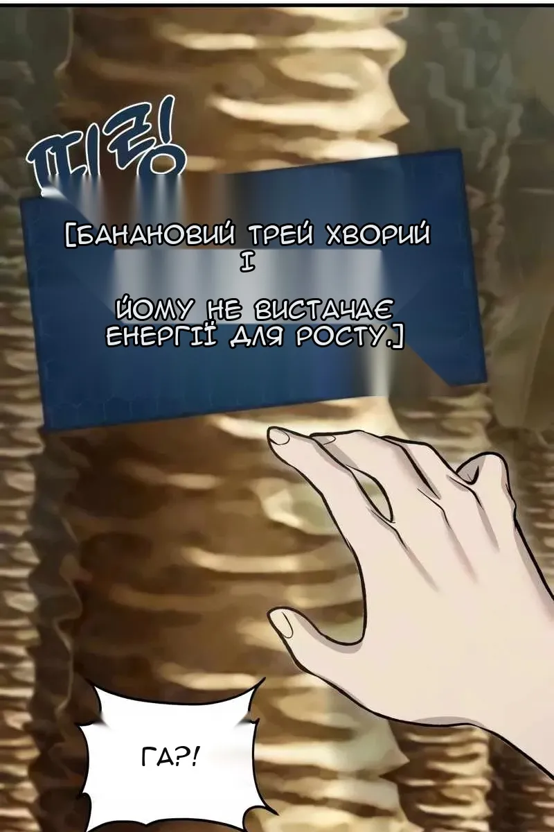 Сторінка 34
