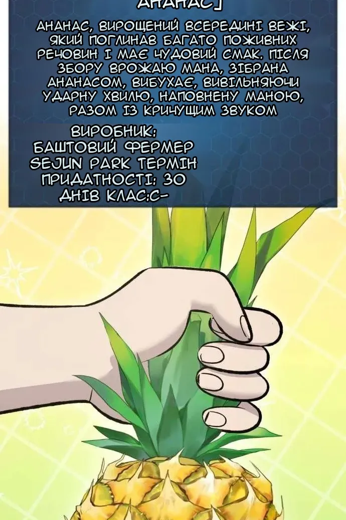 Сторінка 17