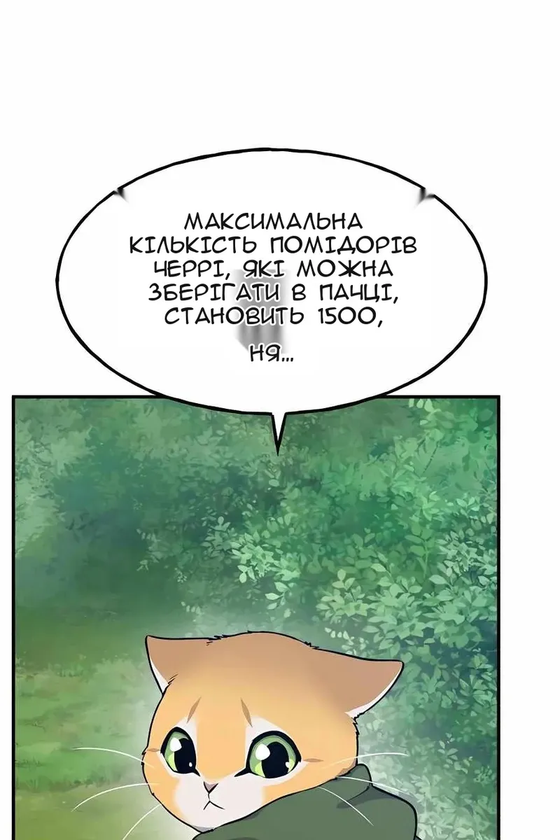 Сторінка 34