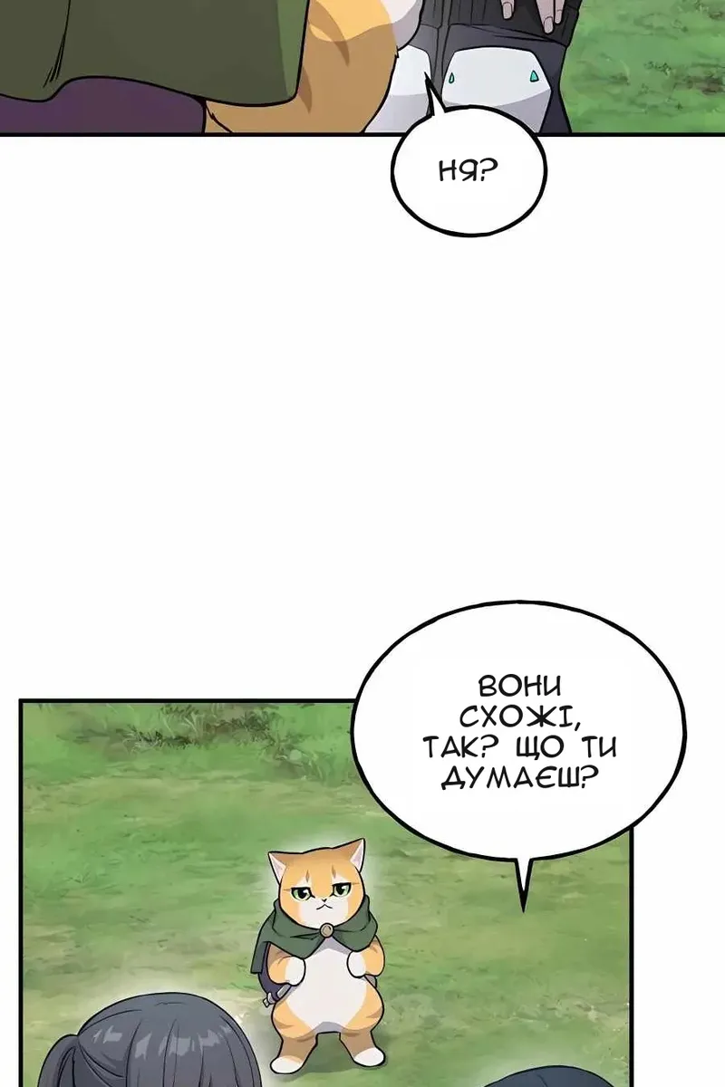 Сторінка 71
