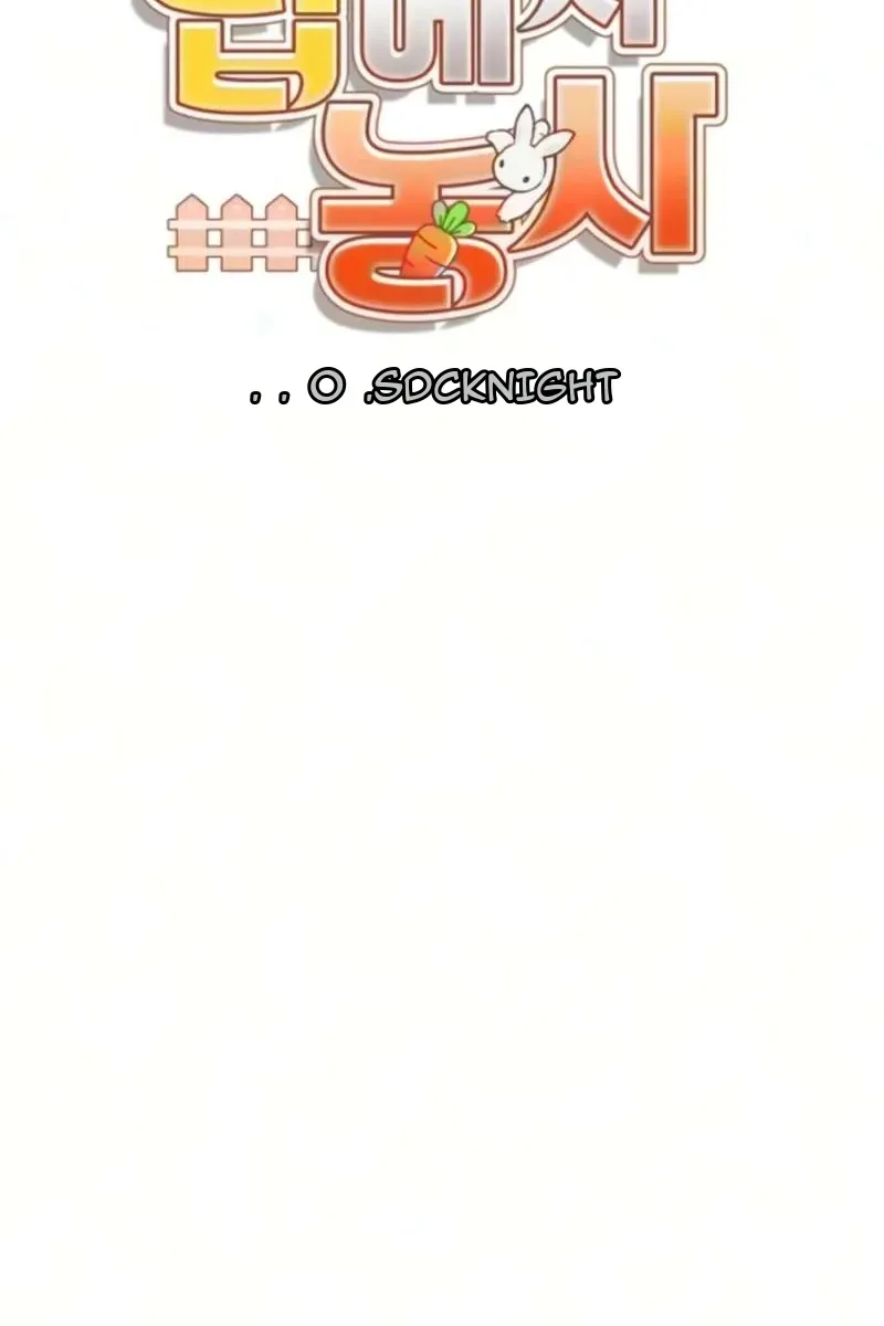 Сторінка 28