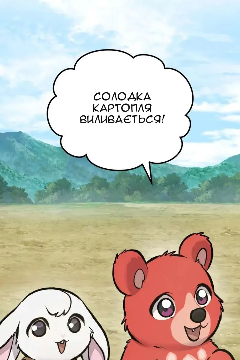 Сторінка 11