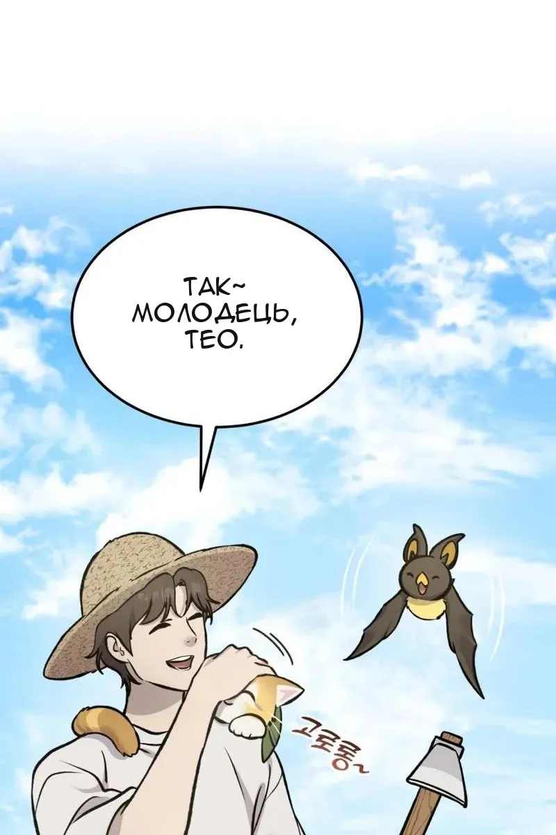 Сторінка 17