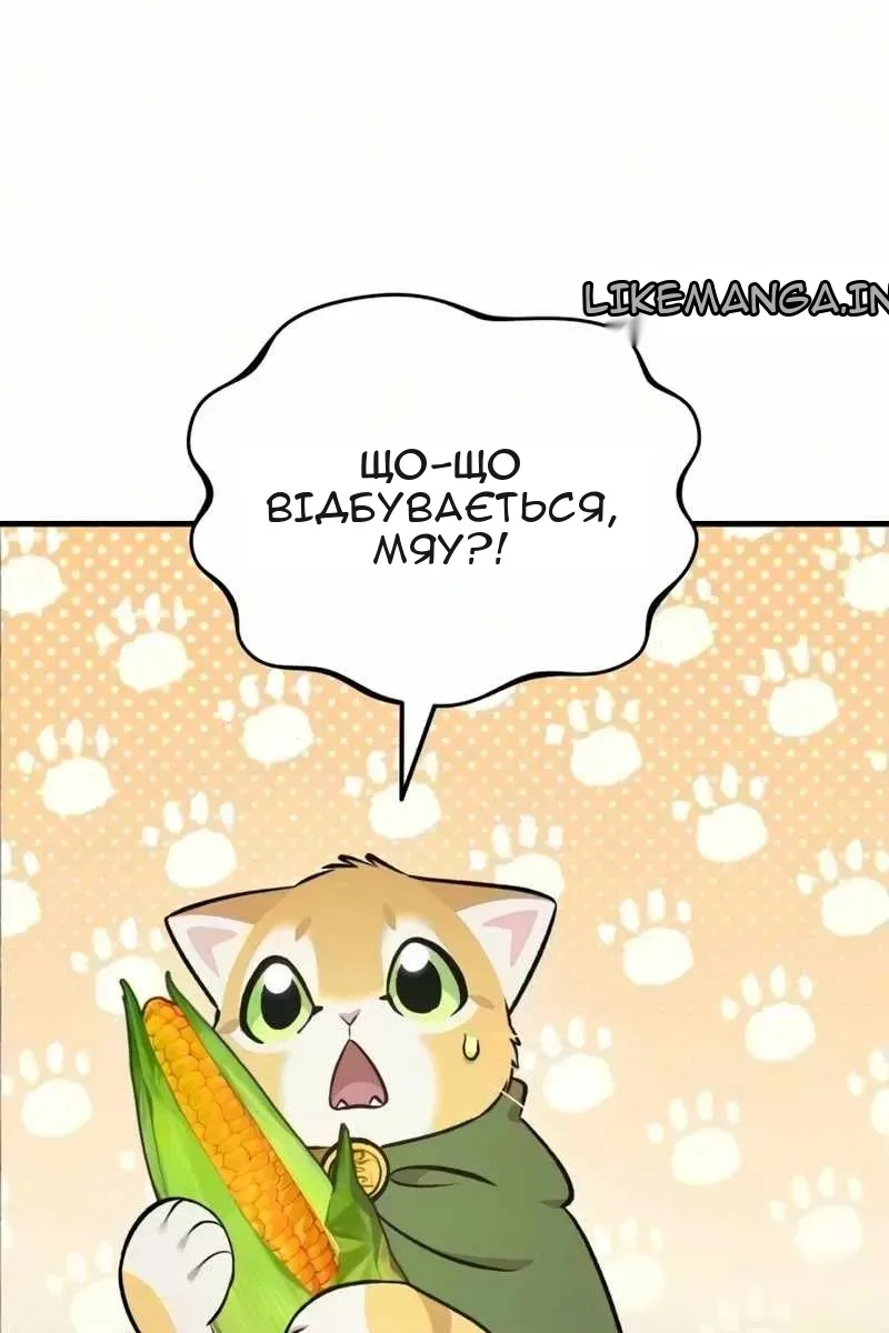 Сторінка 37