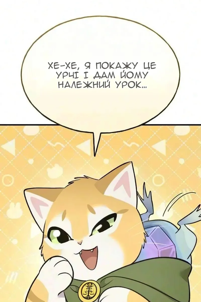 Сторінка 17