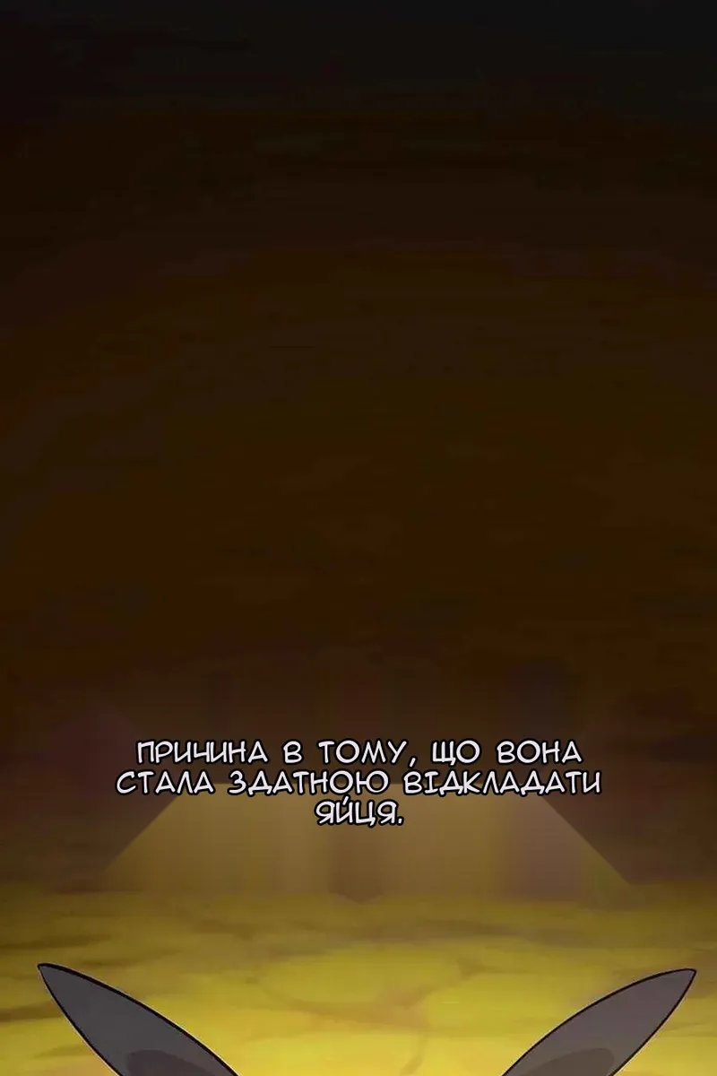 Сторінка 27