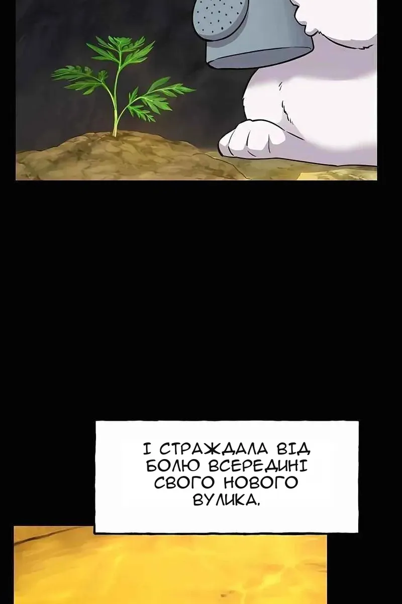 Сторінка 34