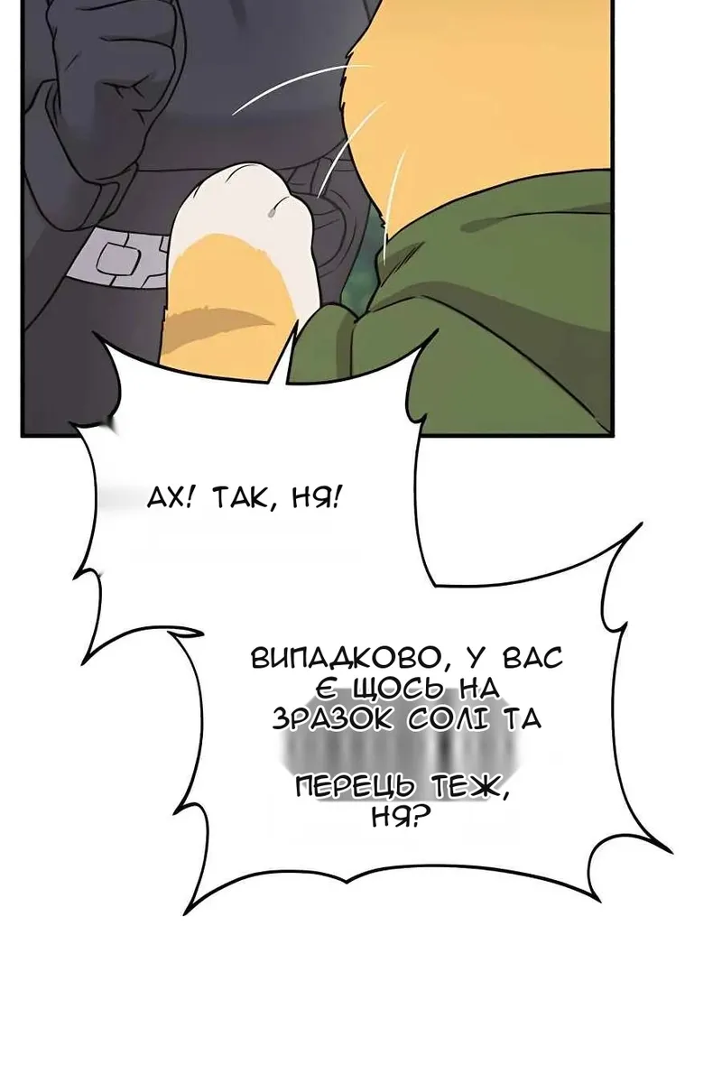 Сторінка 29