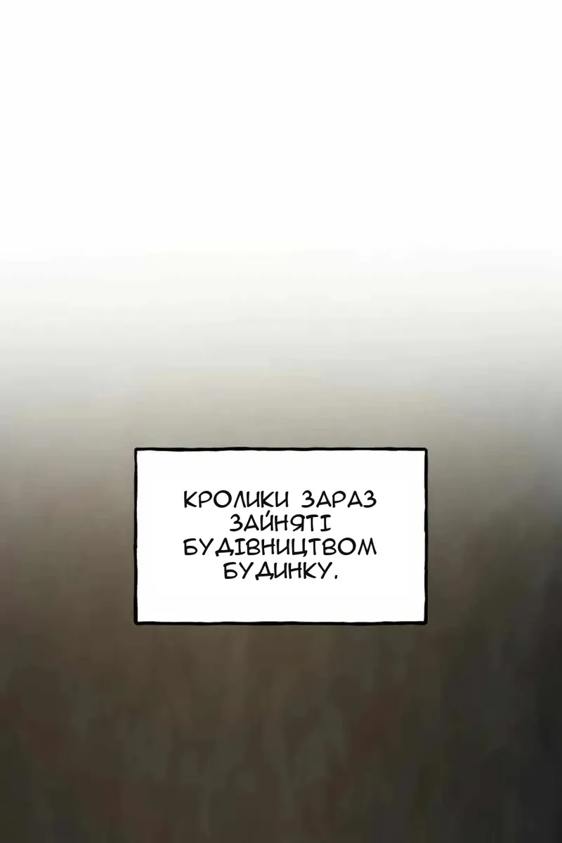 Сторінка 41