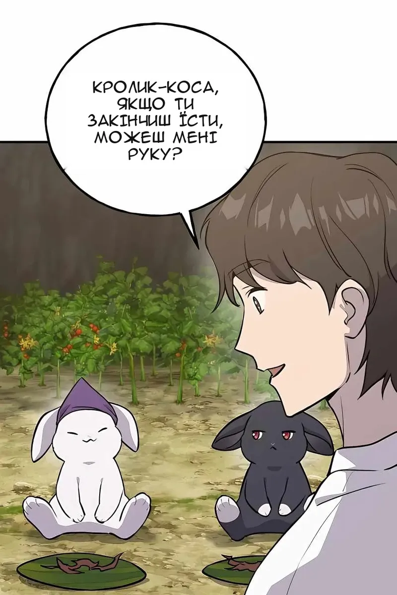 Сторінка 37