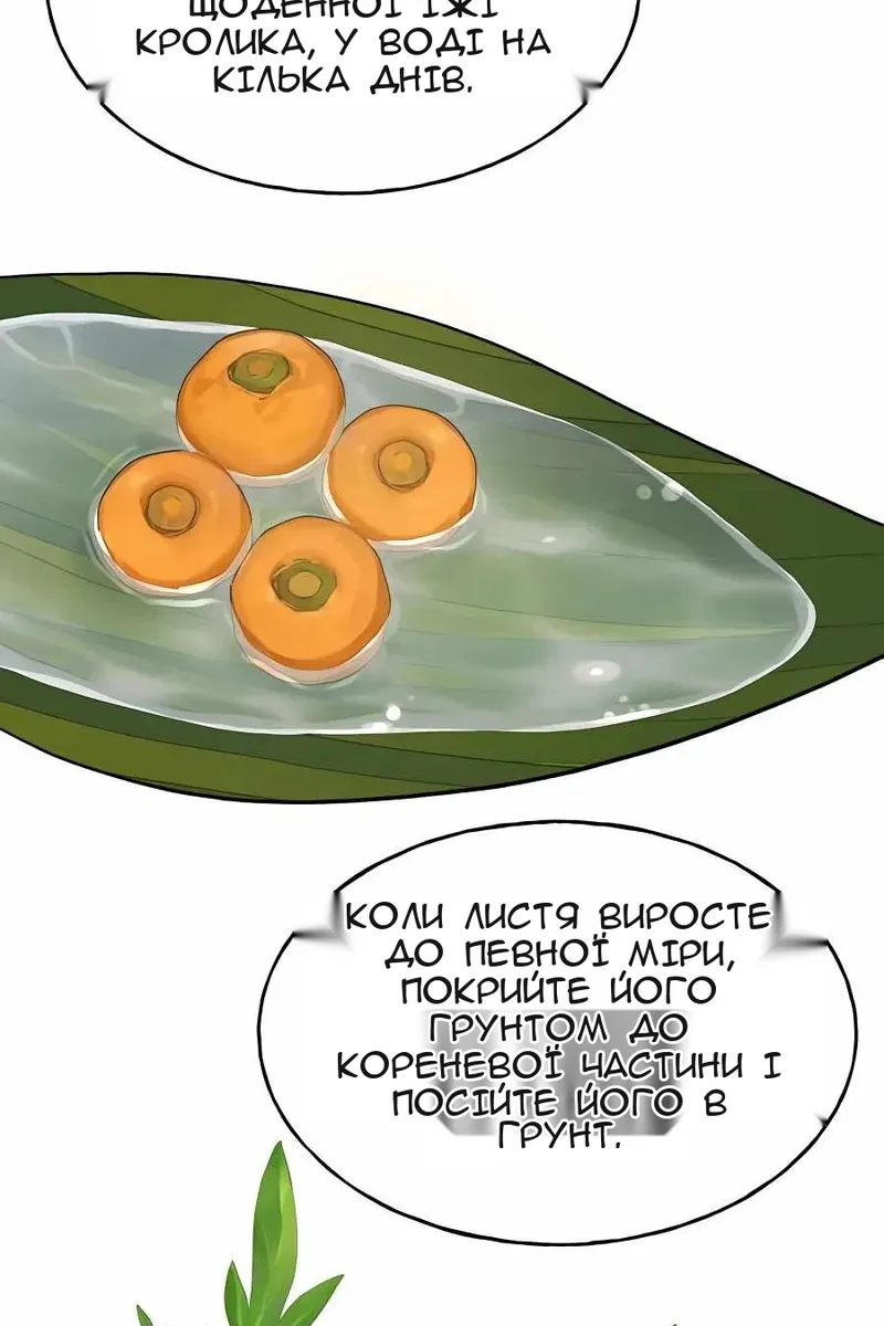 Сторінка 8