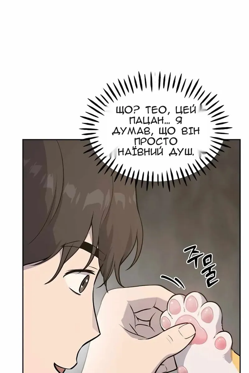 Сторінка 17