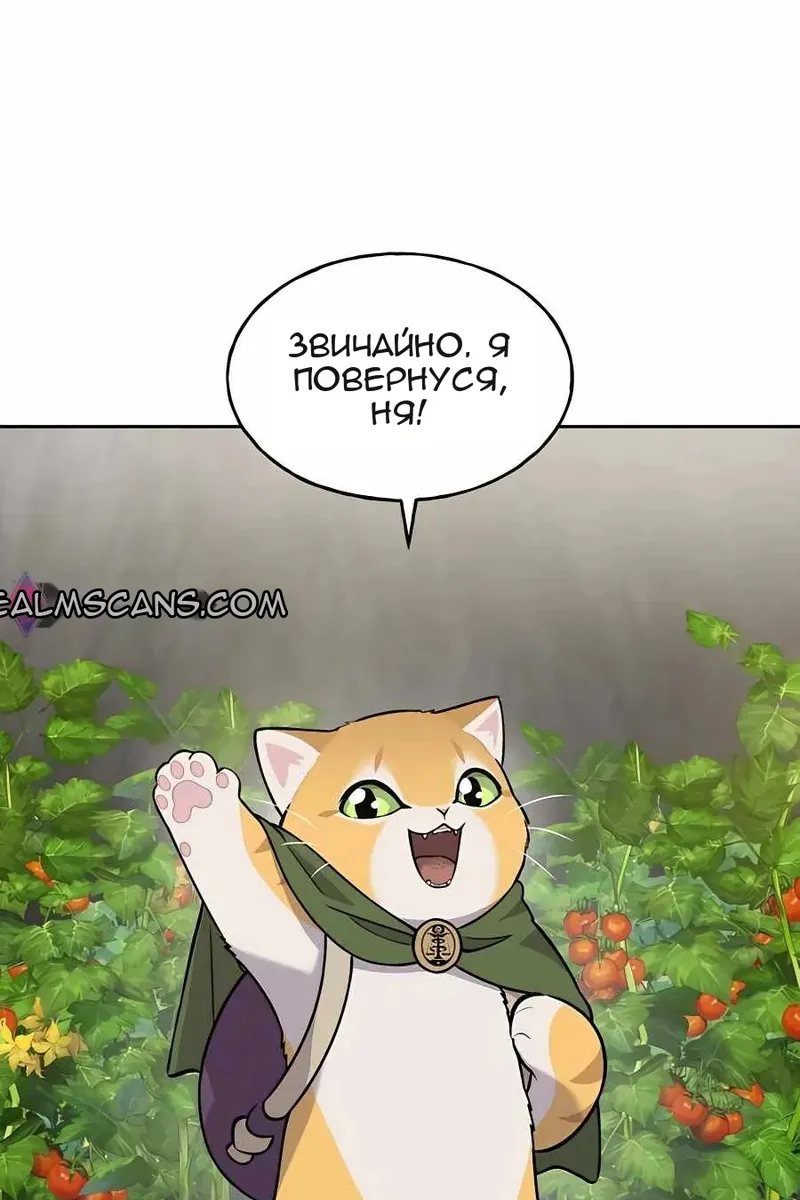 Сторінка 100