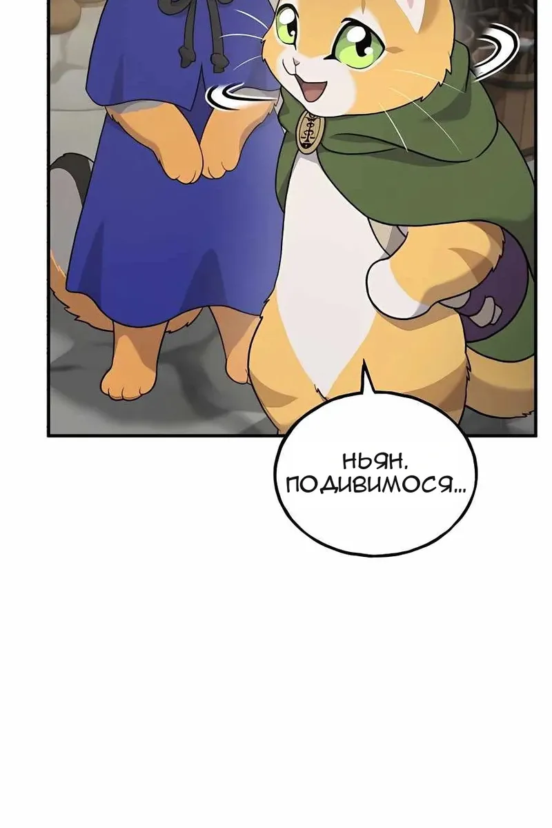 Сторінка 17