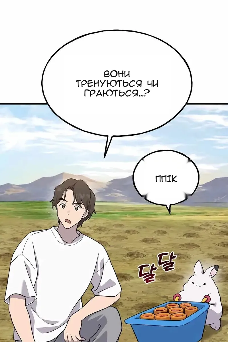 Сторінка 17