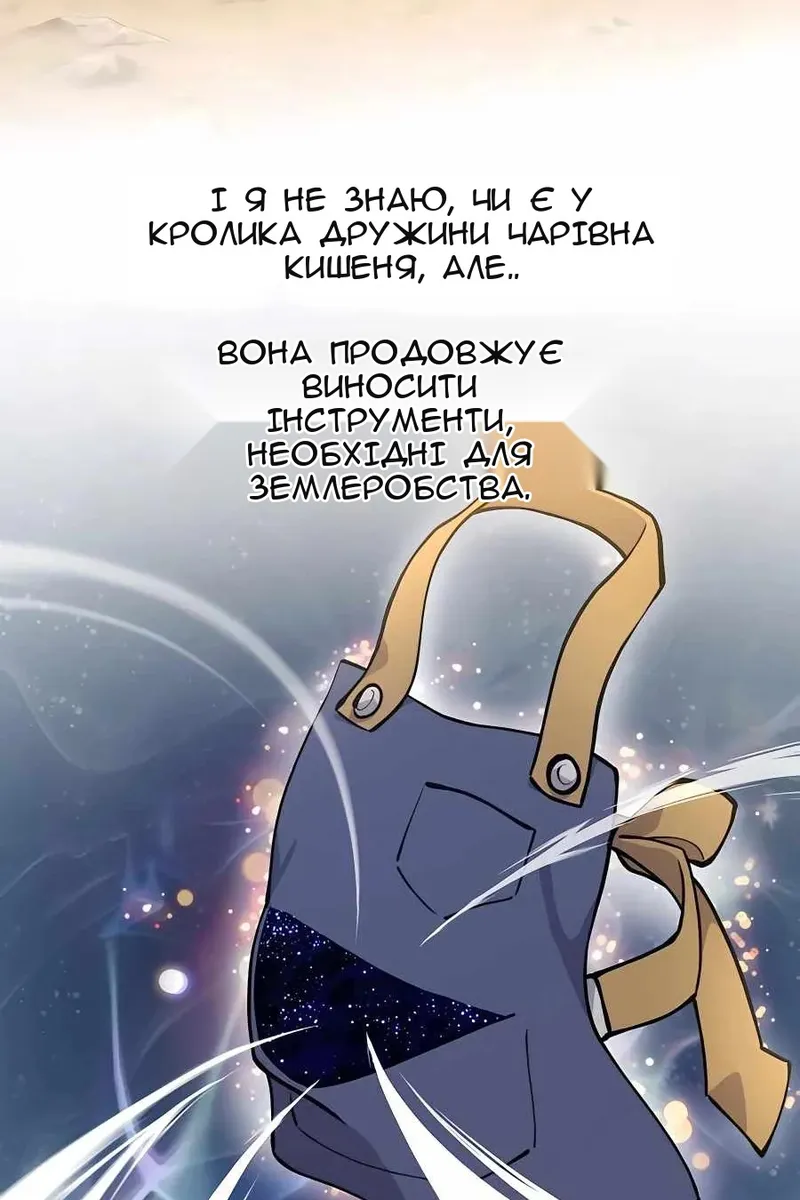 Сторінка 29