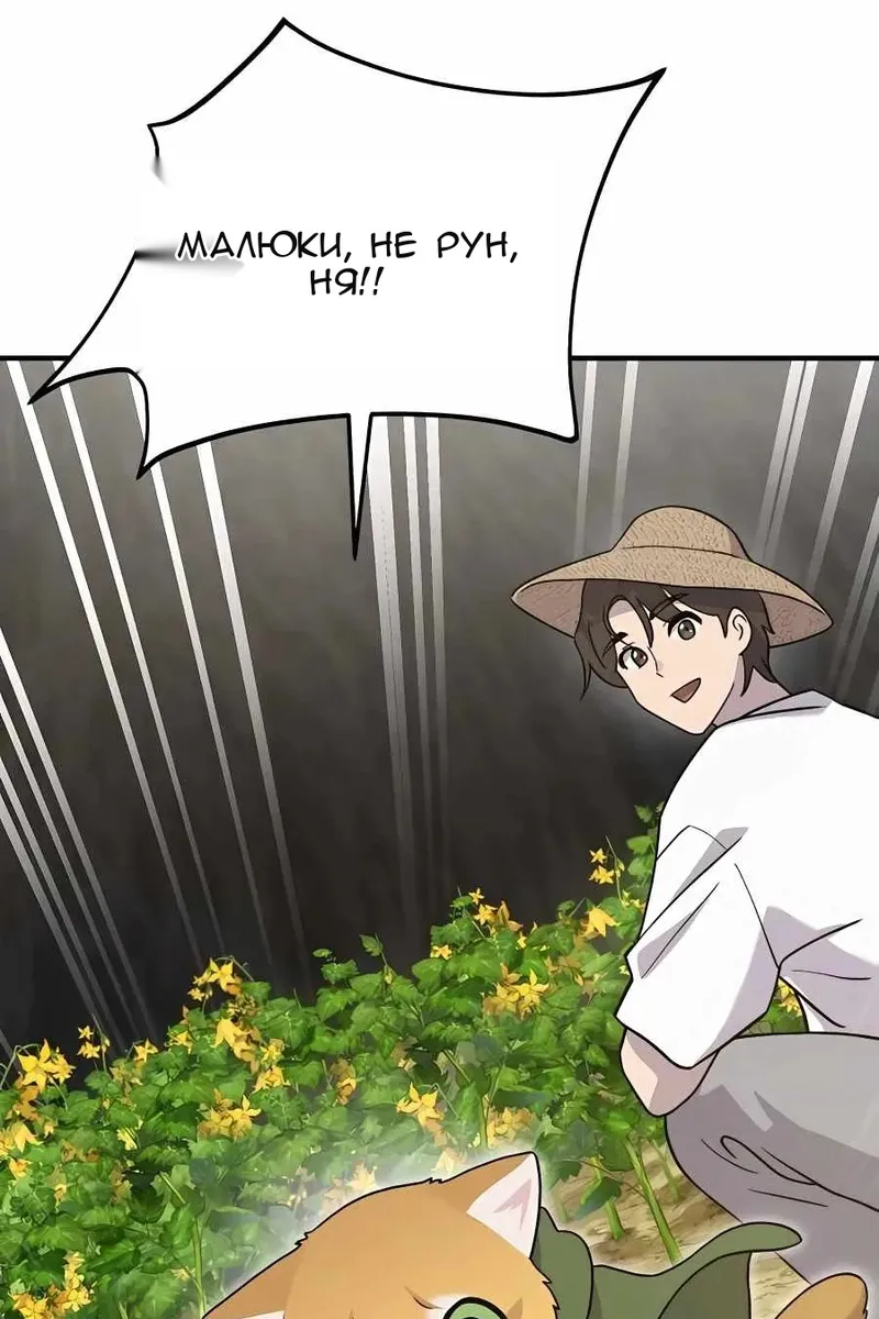 Сторінка 12