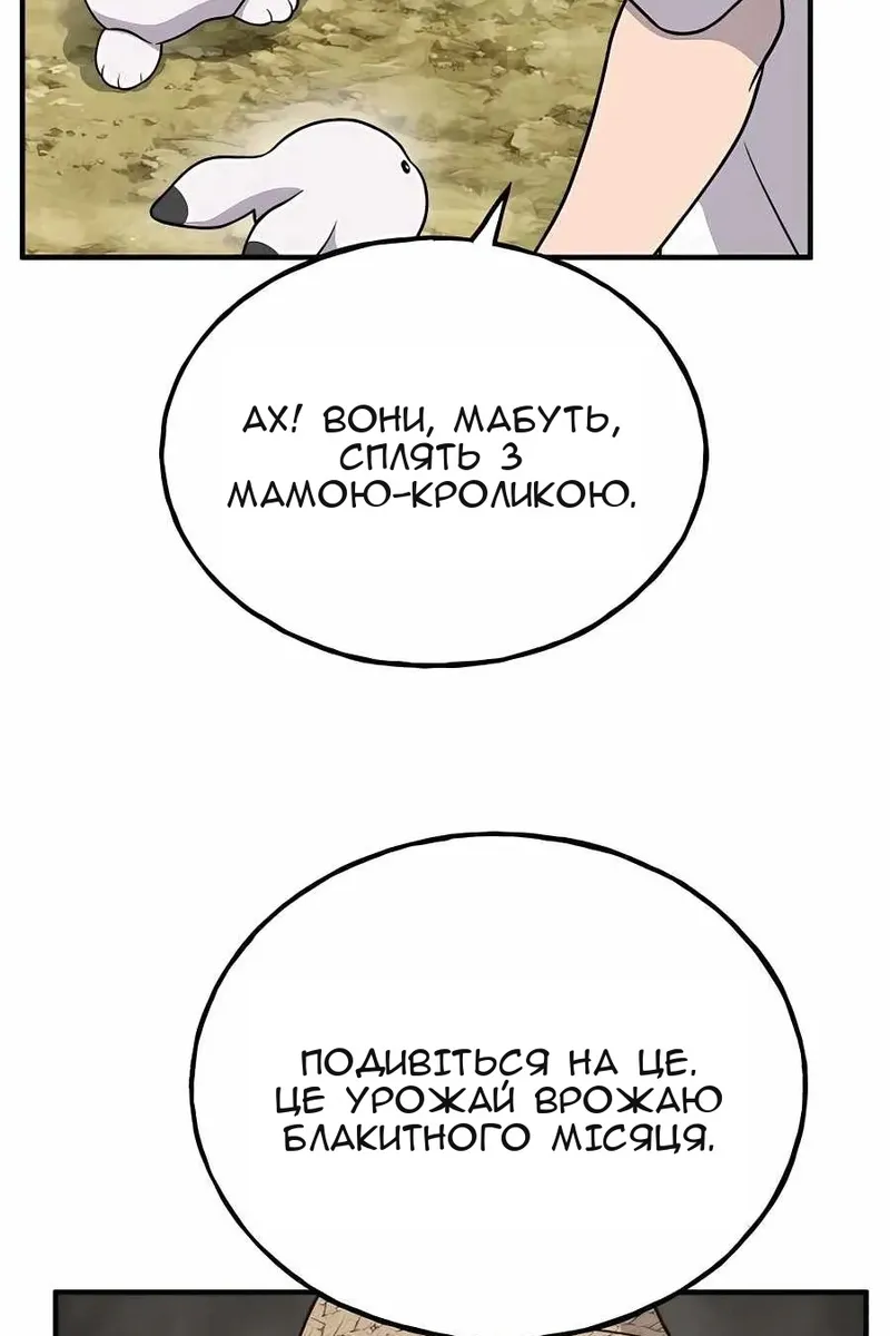Сторінка 13