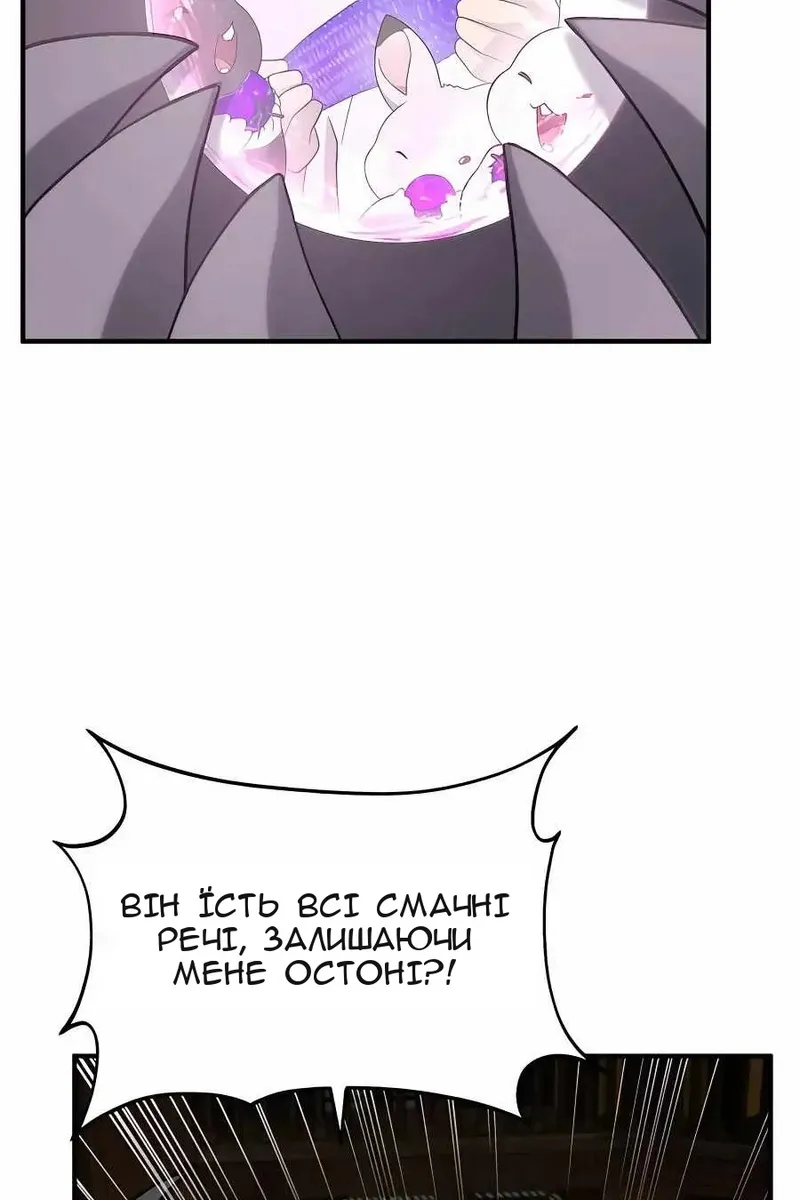 Сторінка 17
