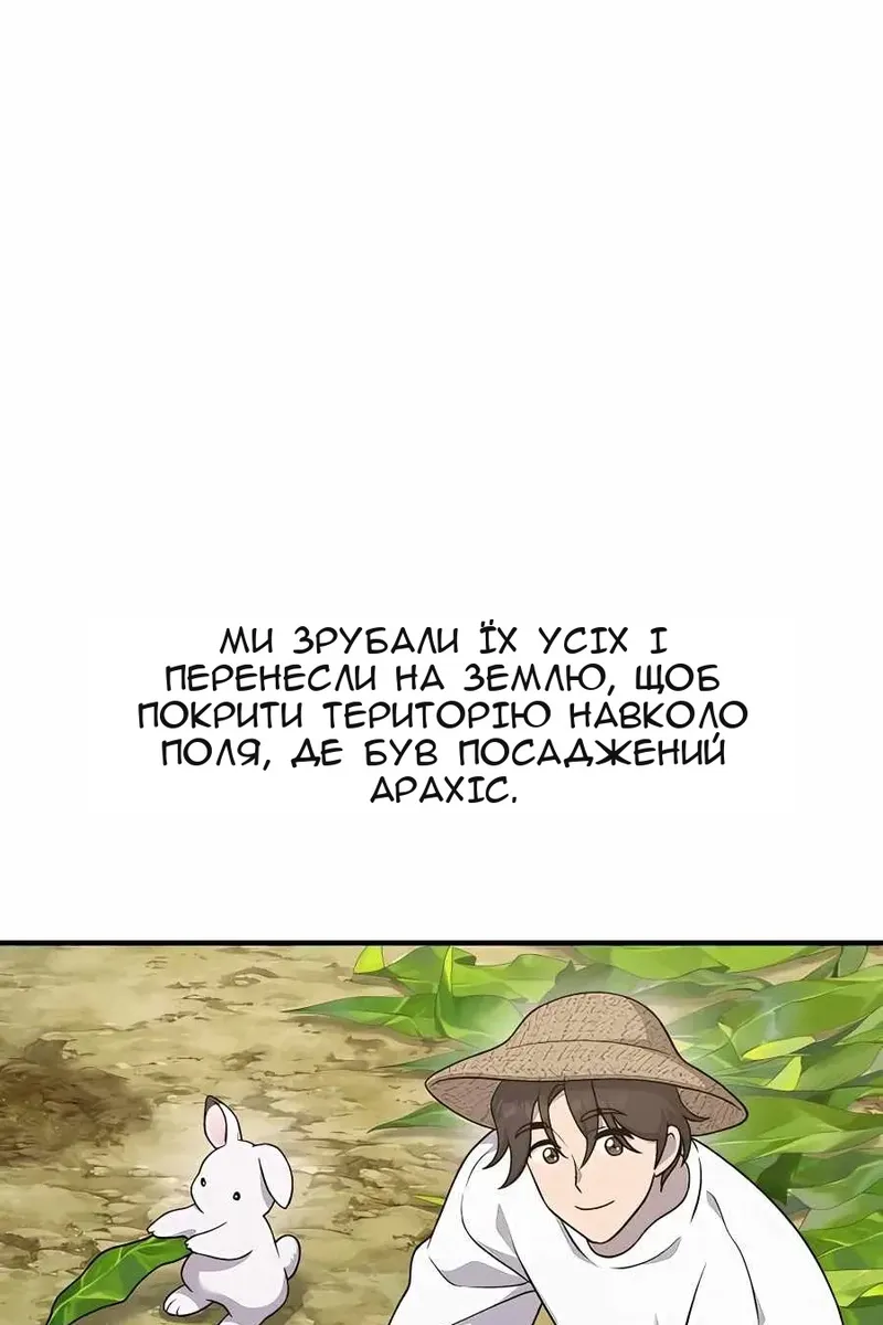 Сторінка 37
