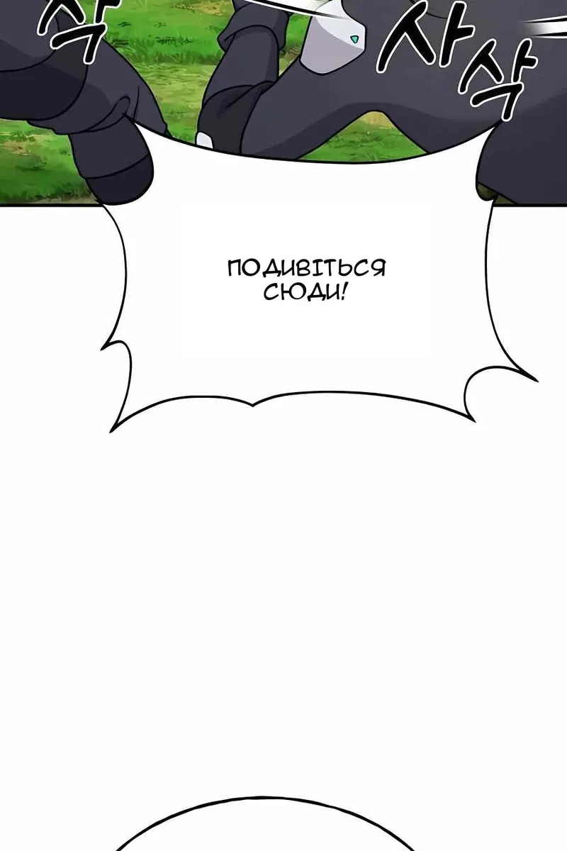 Сторінка 17