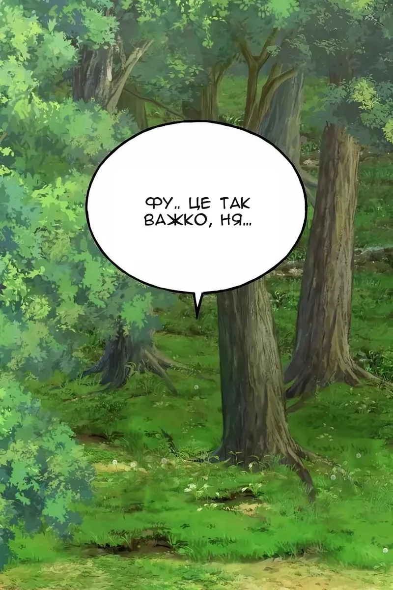 Сторінка 27
