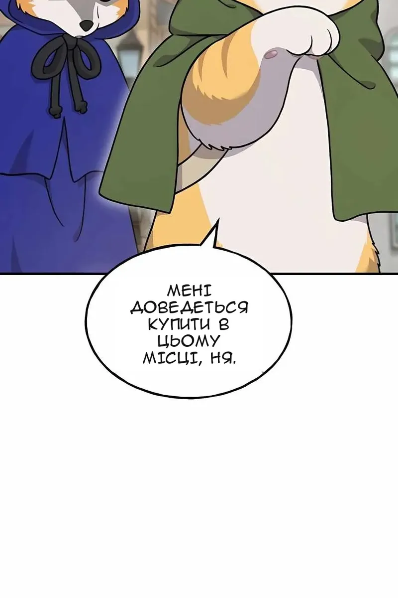 Сторінка 17