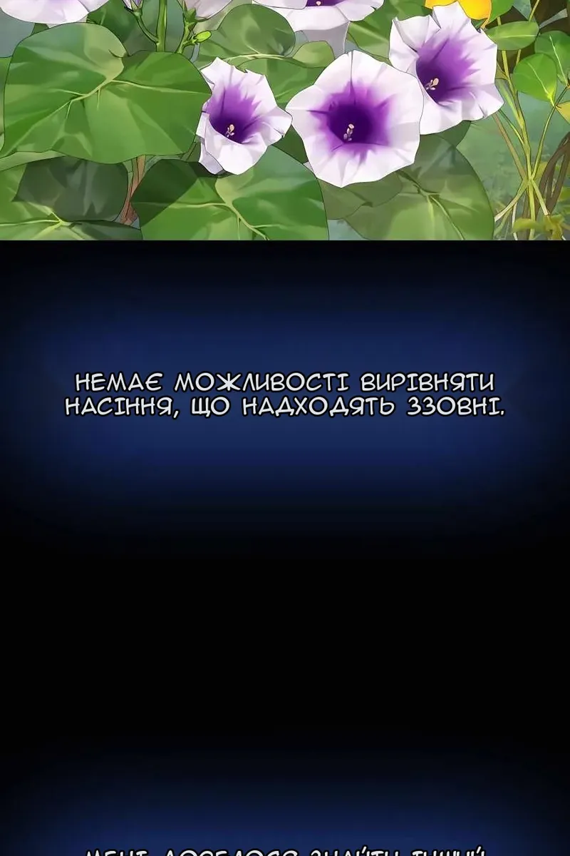 Сторінка 41