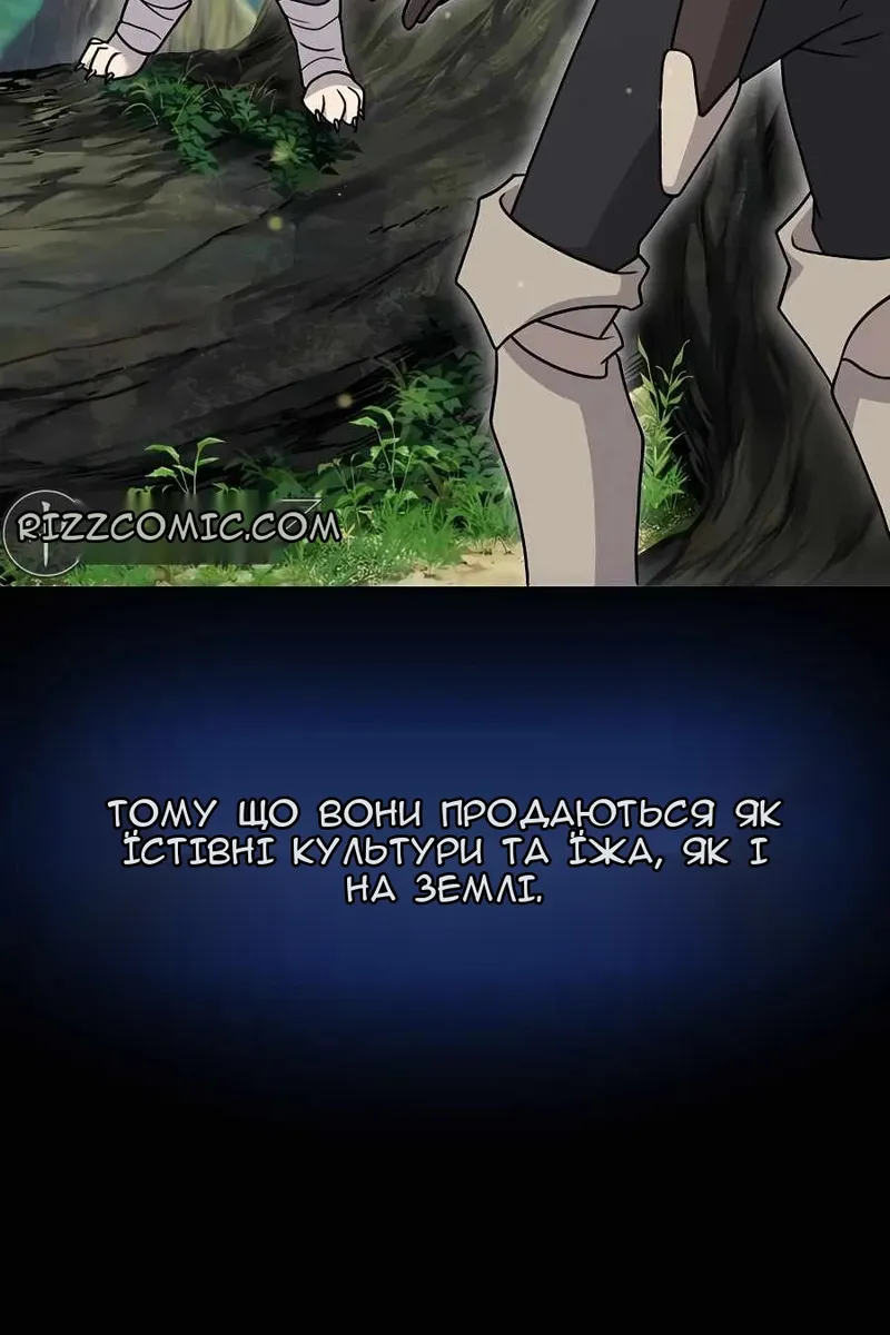 Сторінка 43