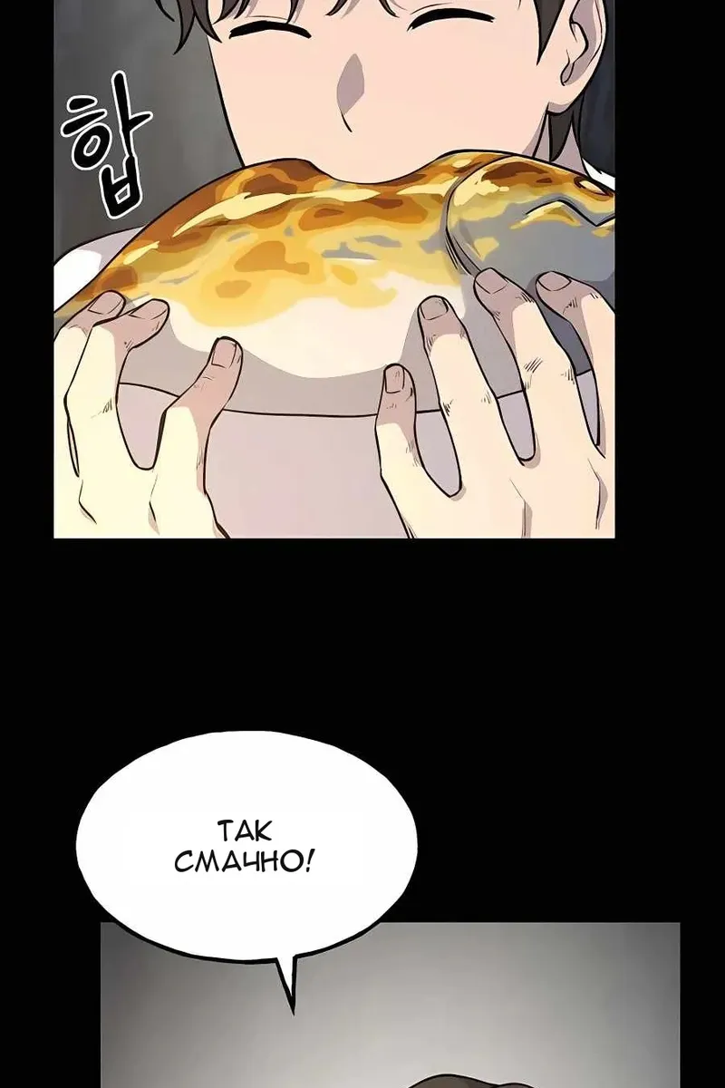 Сторінка 31