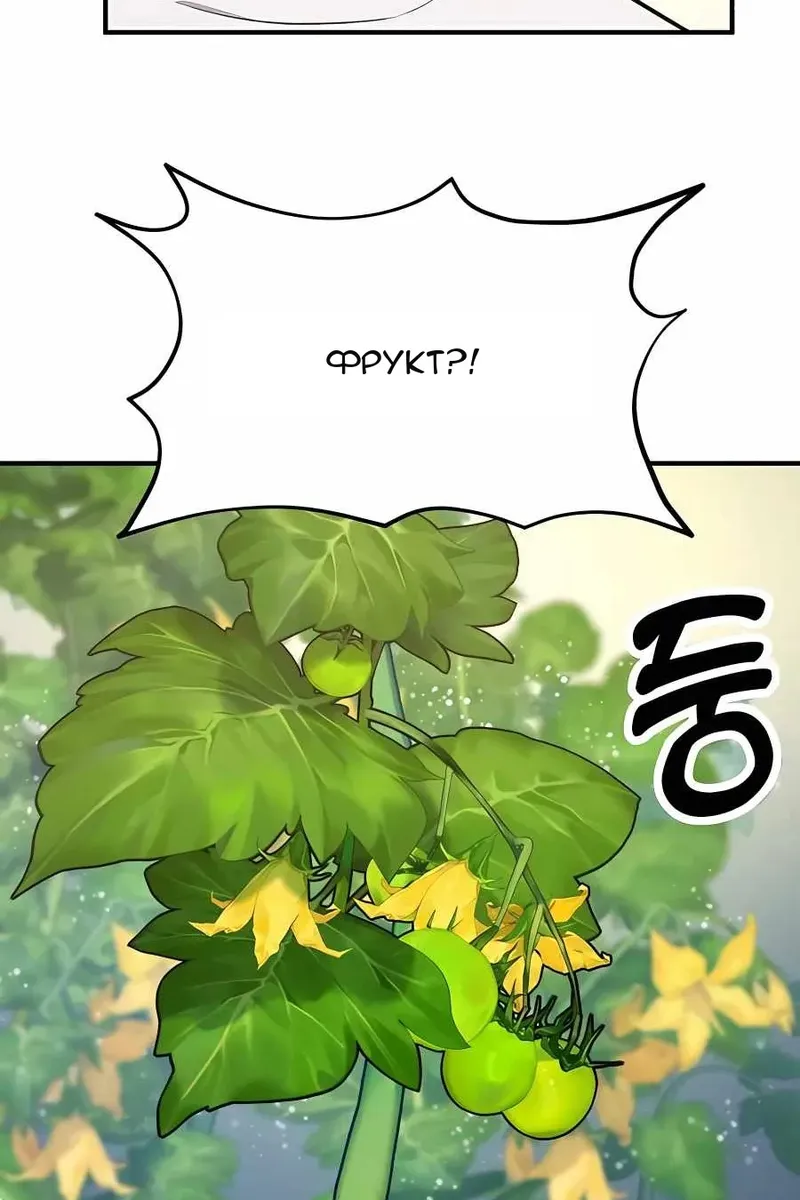 Сторінка 71