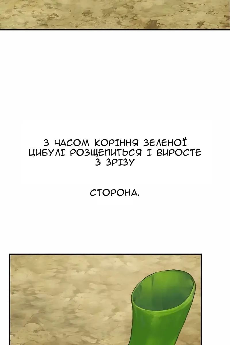 Сторінка 80