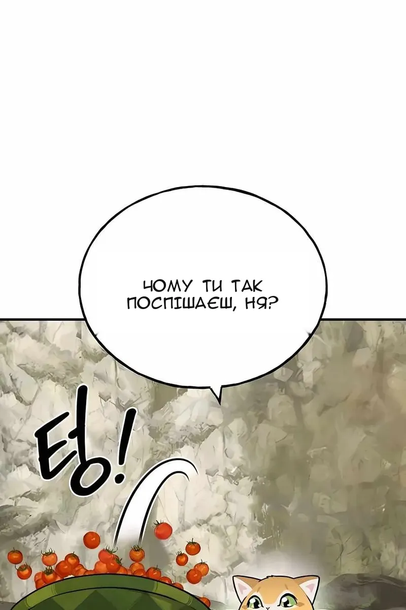 Сторінка 68