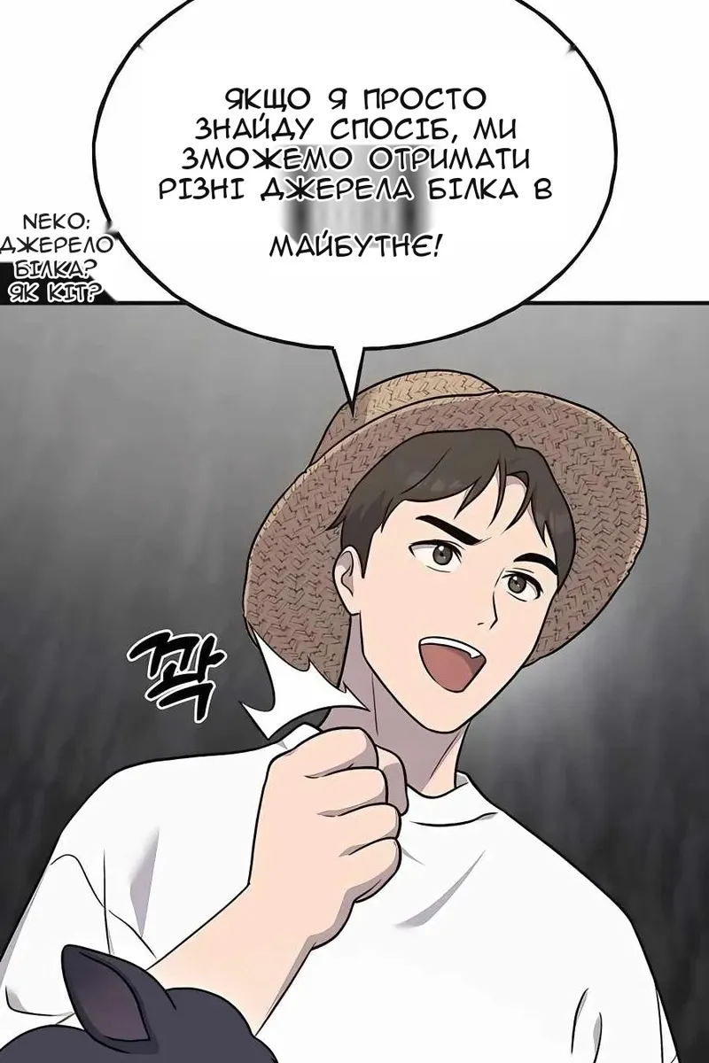 Сторінка 68