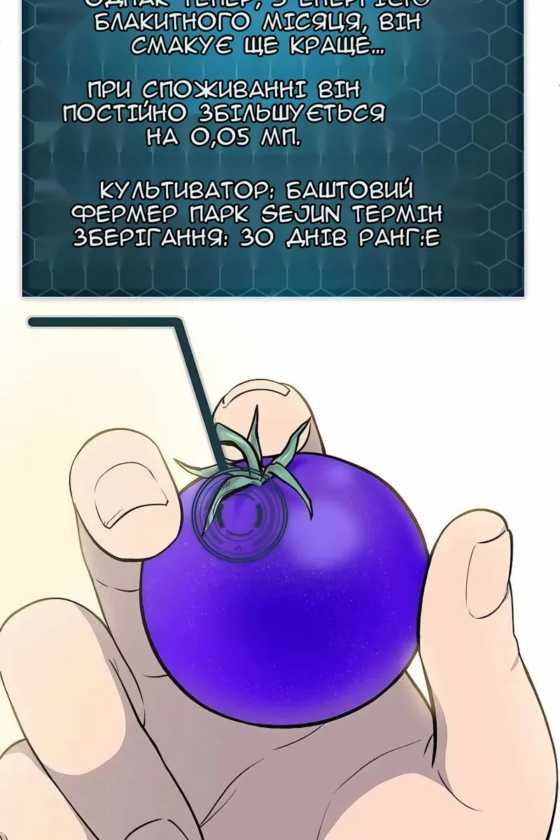 Сторінка 117