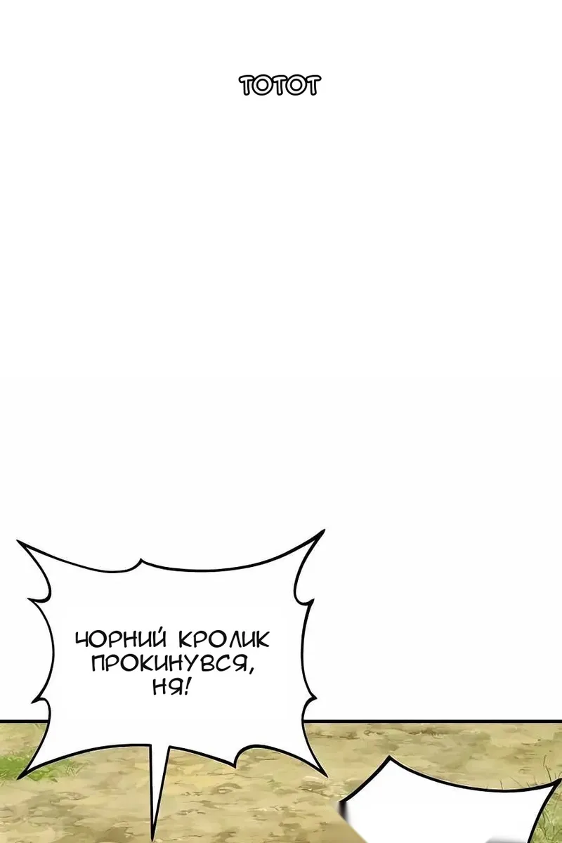 Сторінка 11