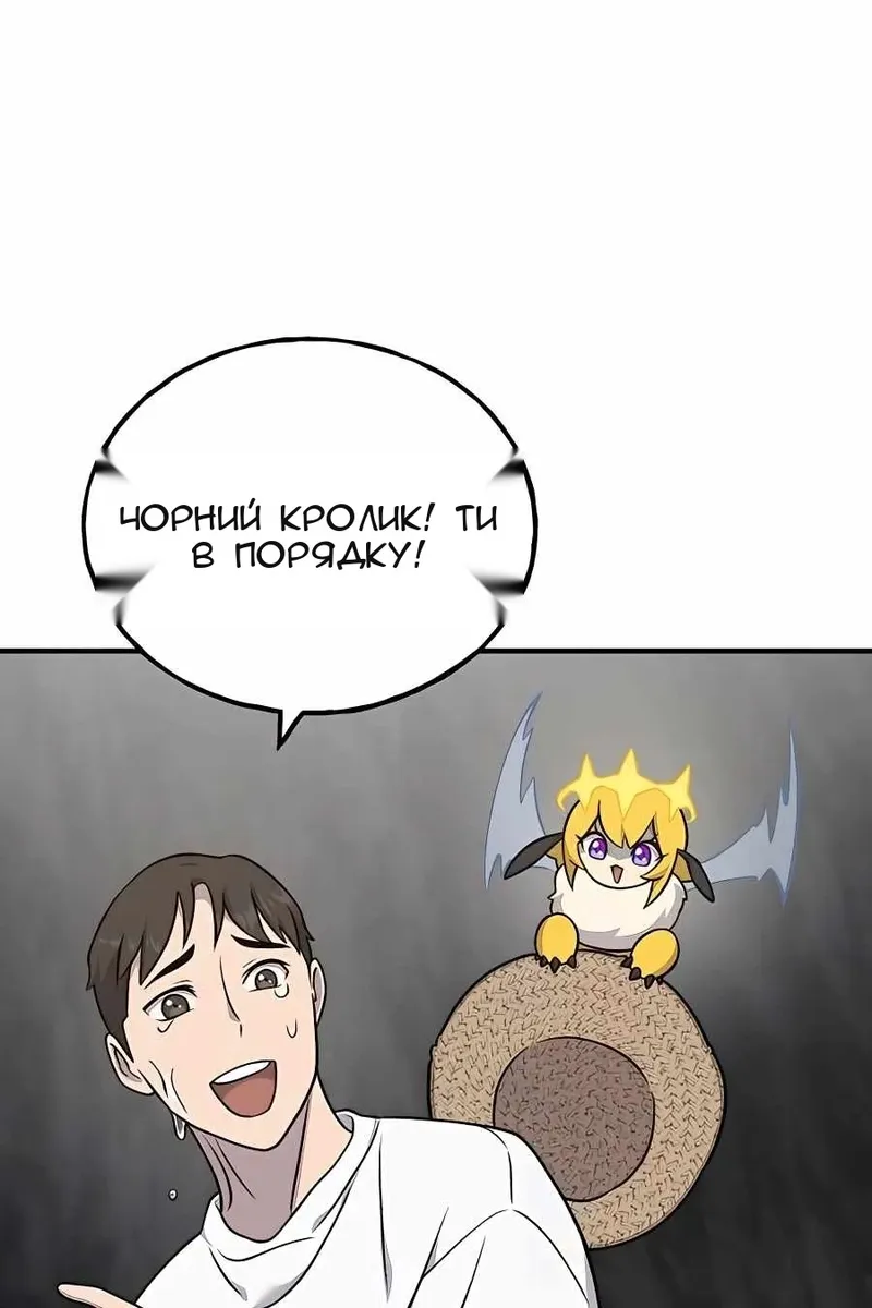 Сторінка 14
