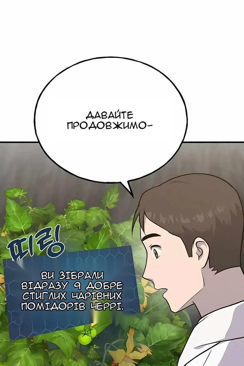 Сторінка 17